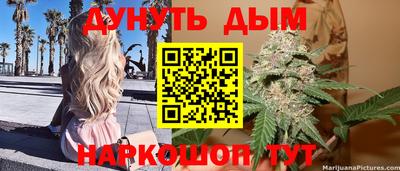 стаф Бузулук