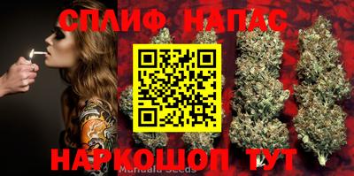 стаф Бузулук
