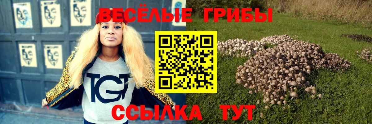 Галлюциногенные грибы GOLDEN TEACHER Майкоп